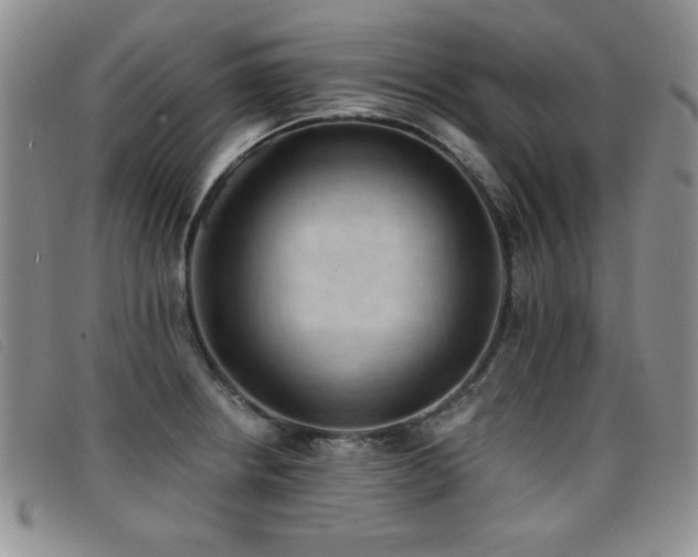 X0000096681234200802051238