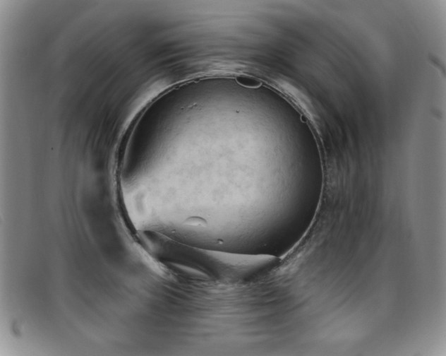 X0000096681235200802051238