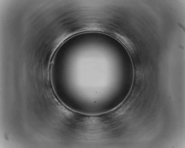 X0000096681236200802051238