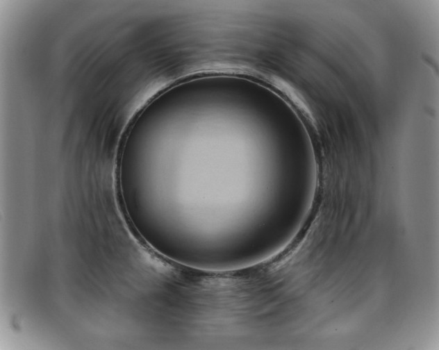 X0000096681237200802051238