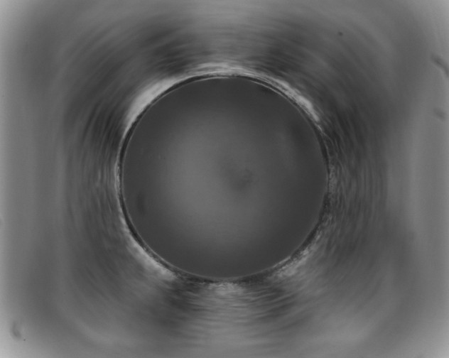 X0000096681239200802051239