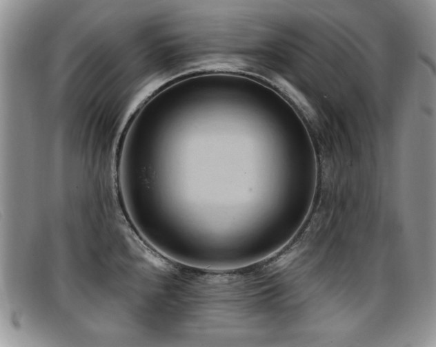 X0000096681240200802051239