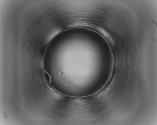 X0000096681241200802051239