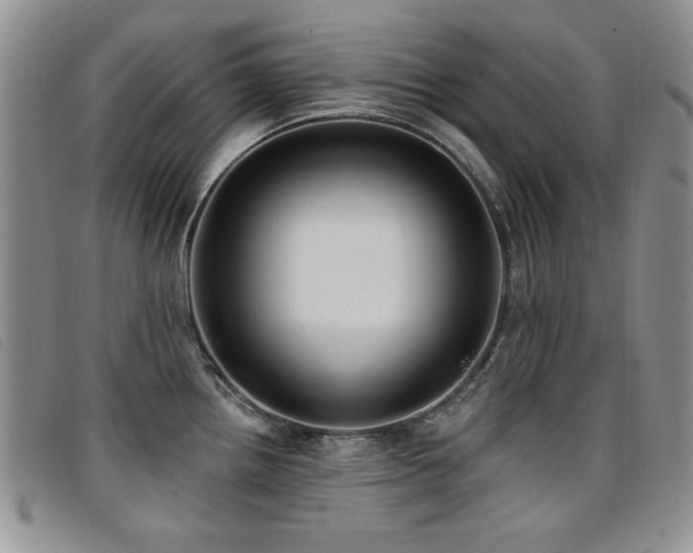 X0000096681242200802051239