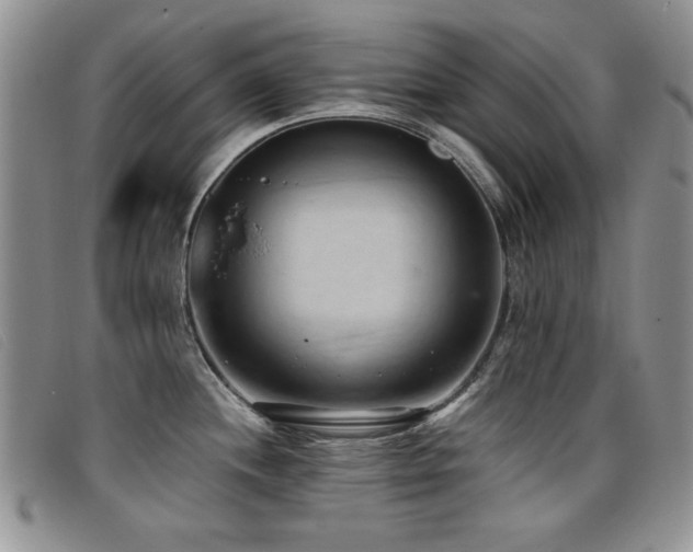 X0000096681244200802051239