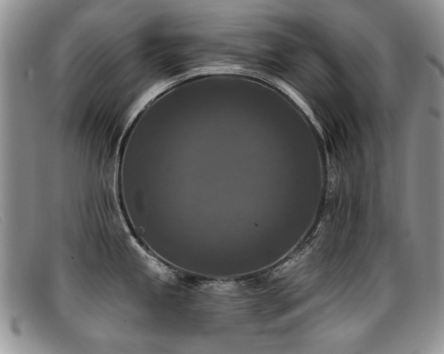 X0000096681245200802051239