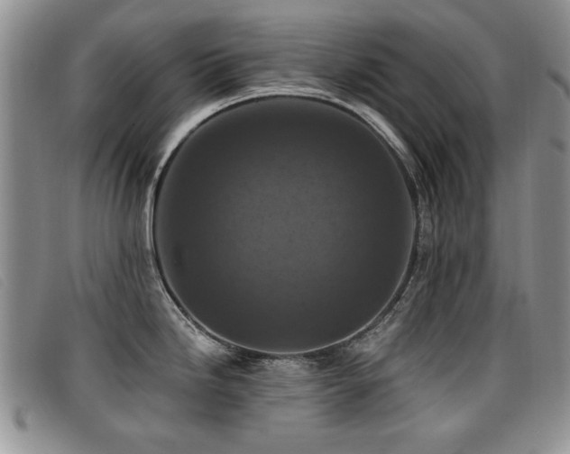 X0000096681246200802051239