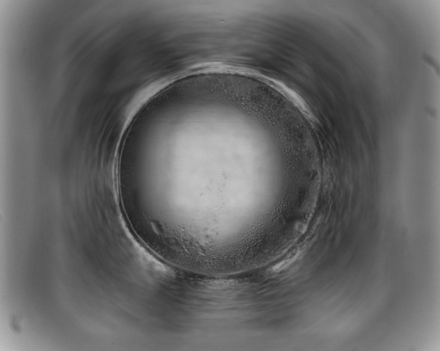 X0000096681247200802051239