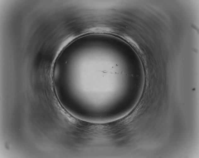 X0000096681248200802051239
