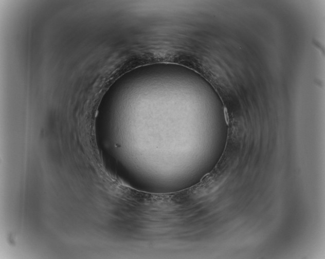 X0000096681249200802051238