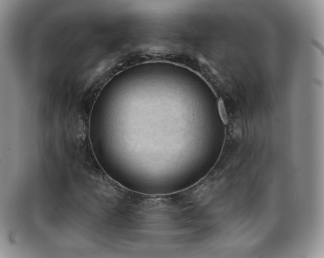 X0000096681253200802051238