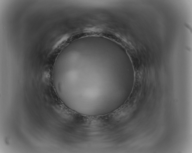 X0000096681254200802051238