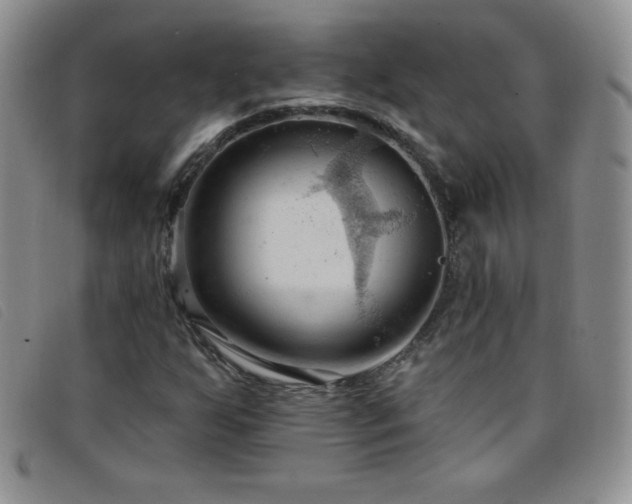 X0000096681255200802051238