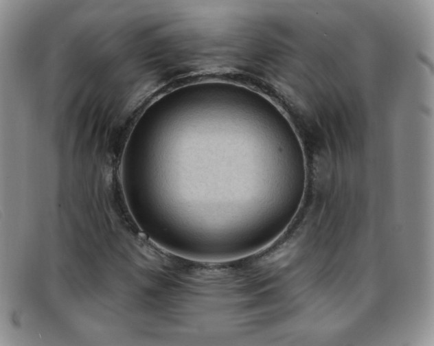 X0000096681257200802051238