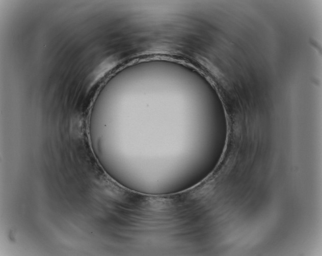 X0000096681258200802051238
