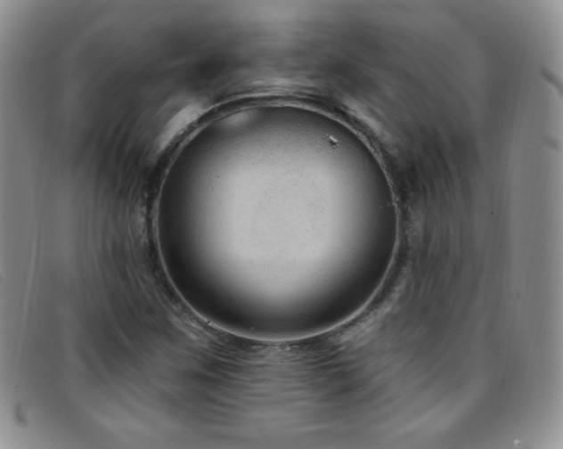 X0000096681259200802051238