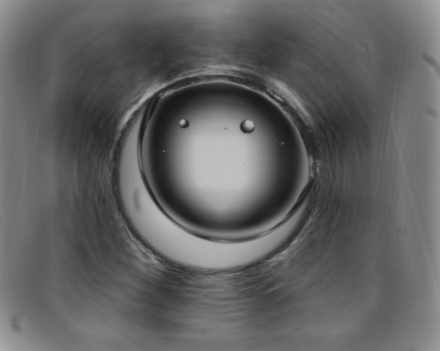 X0000096681260200802051238