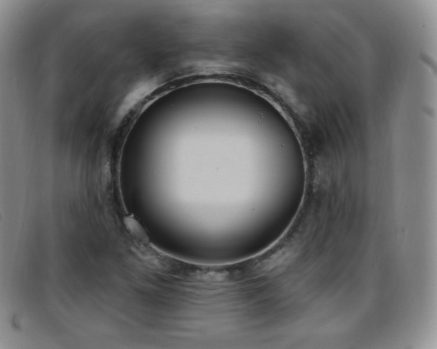 X0000096681261200802051238