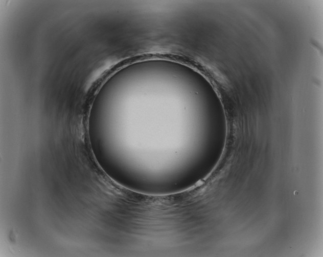 X0000096681262200802051238