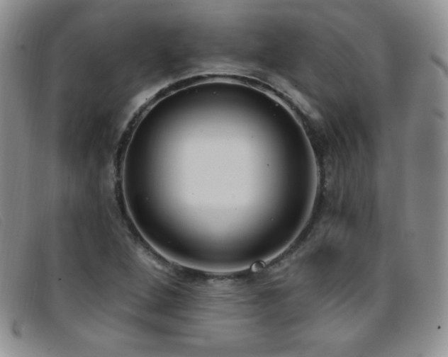 X0000096681264200802051238