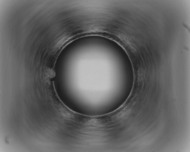 X0000096681265200802051238