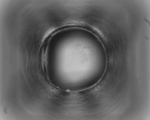 X0000096681267200802051238