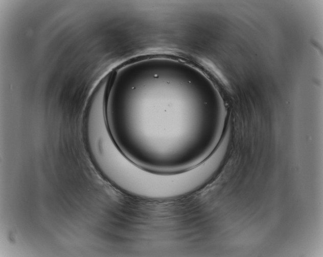 X0000096681268200802051238