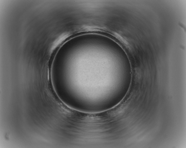 X0000096681269200802051238