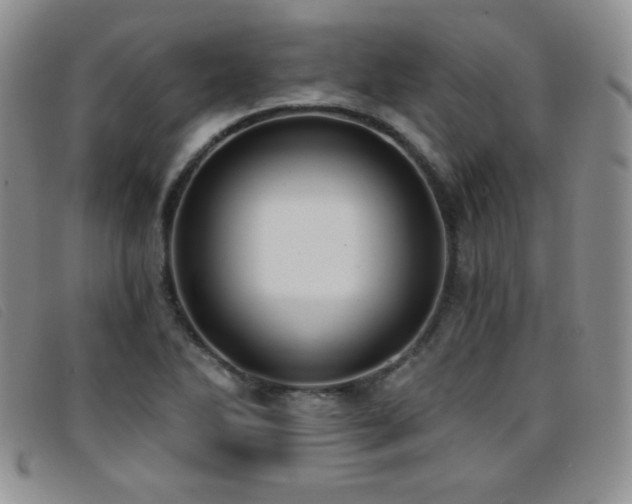 X0000096681270200802051238