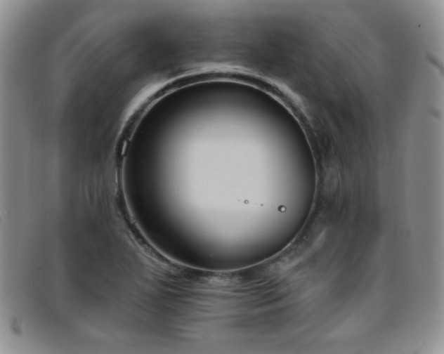 X0000096681271200802051238