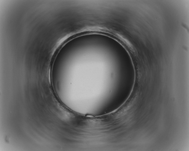 X0000096681272200802051238