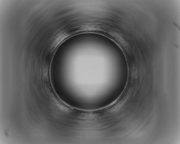 X0000096681273200802051238