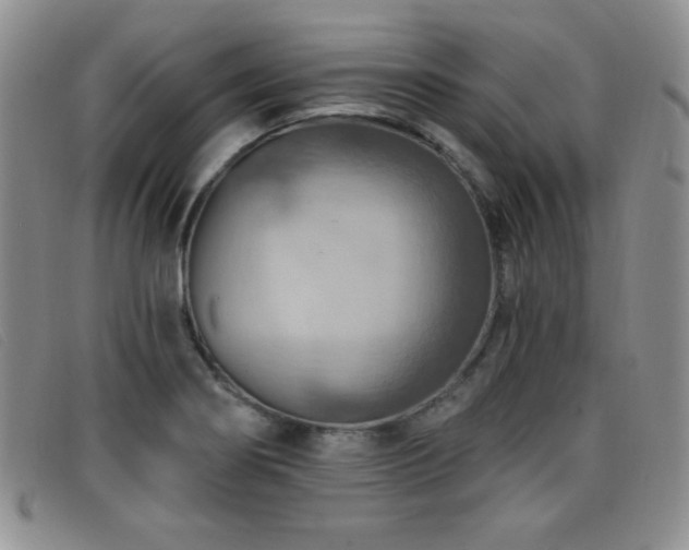 X0000096681274200802051238