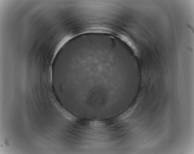 X0000096681275200802051238