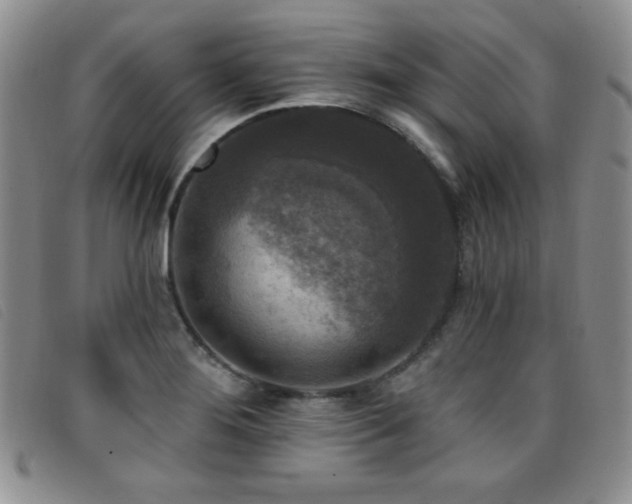 X0000096681276200802051238