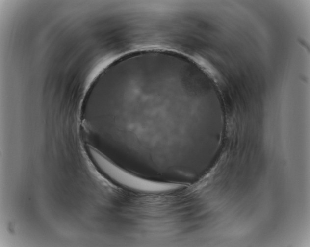 X0000096681279200802051238