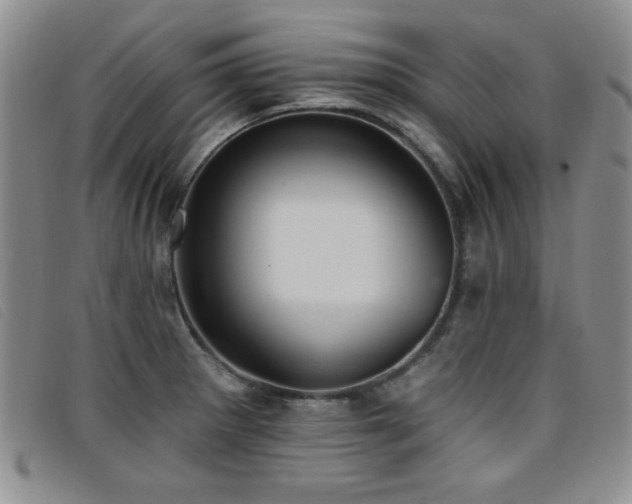 X0000096681281200802051238