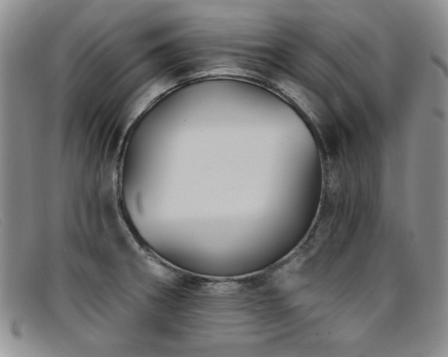 X0000096681282200802051238