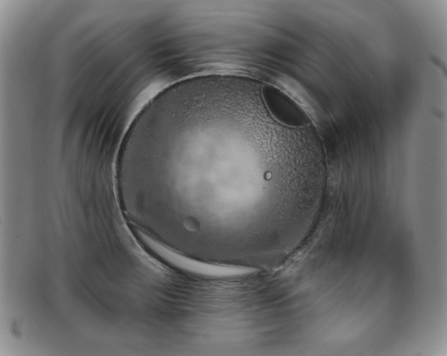 X0000096681283200802051237
