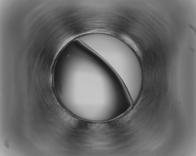 X0000096681284200802051237