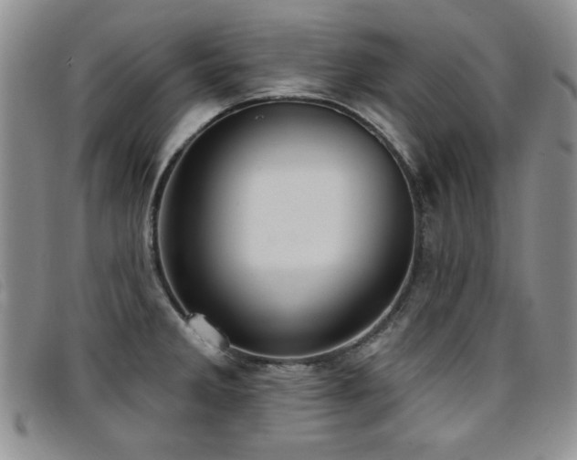 X0000096681285200802051237