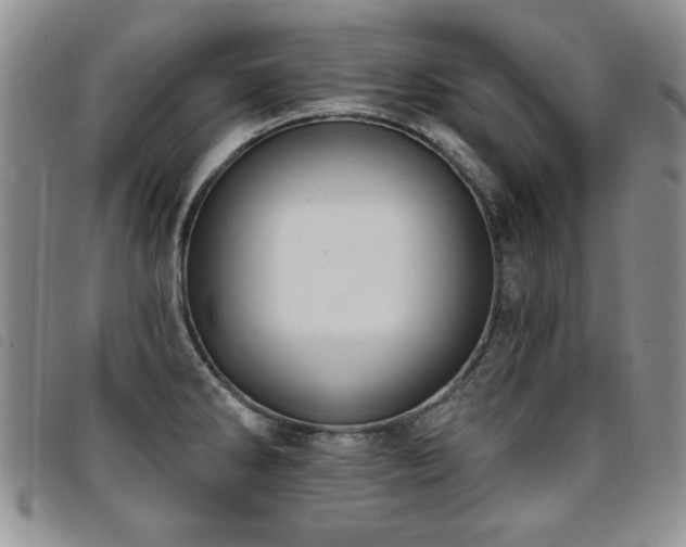X0000096681286200802051237