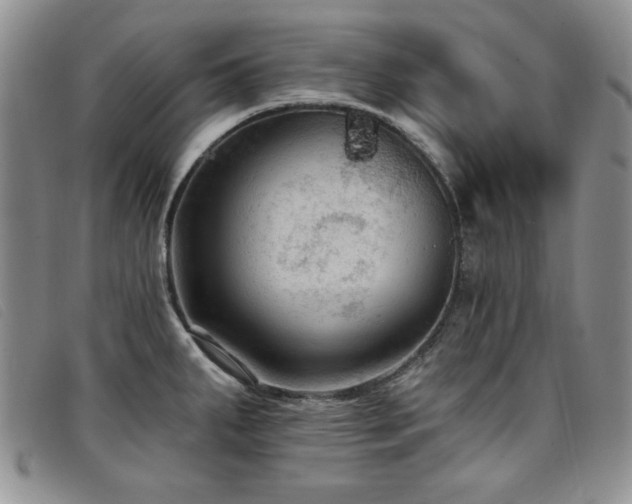 X0000096681287200802051237