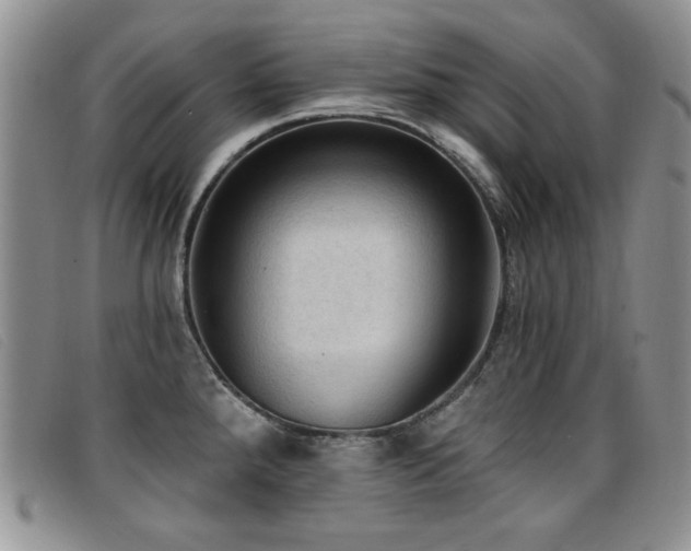 X0000096681288200802051237