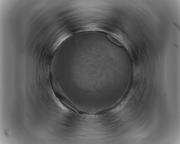X0000096681289200802051237