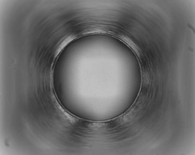X0000096681290200802051237
