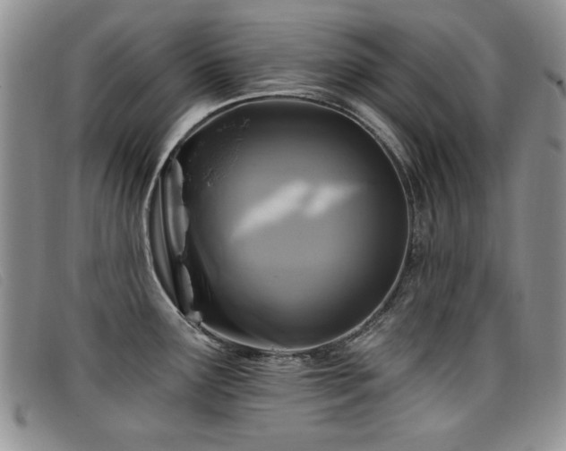 X0000096681291200802051237
