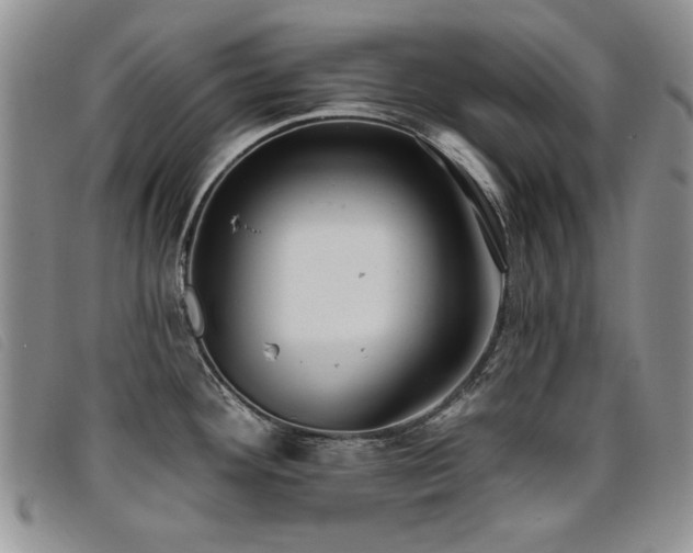 X0000096681292200802051237