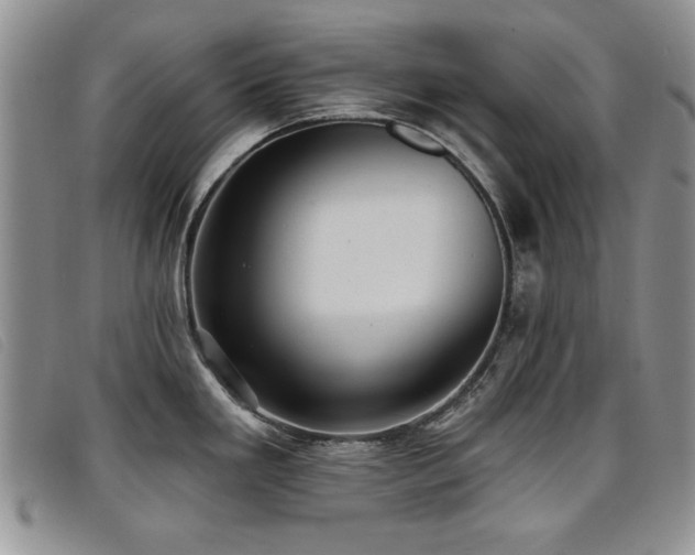 X0000096681293200802051237