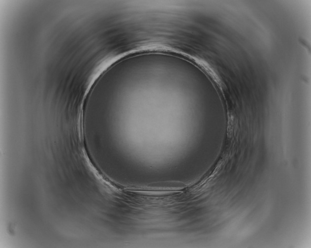X0000096681295200802051237